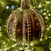 Buy canvas prints of Christmas Decoration by Stephanie Moore
