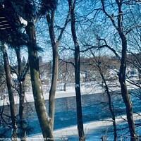 Buy canvas prints of Rideau River by Stephanie Moore