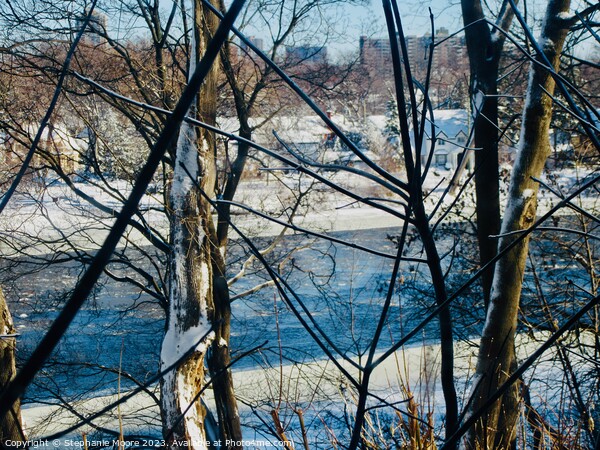 Rideau River Picture Board by Stephanie Moore