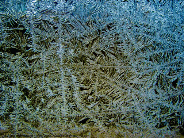 Ice Crystals Picture Board by Stephanie Moore
