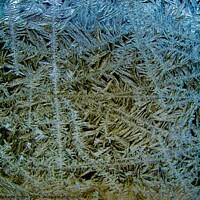 Buy canvas prints of Ice Crystals by Stephanie Moore