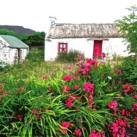 Buy canvas prints of Abandoned Irish Cottage by Stephanie Moore