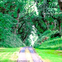 Buy canvas prints of Private drive to Colebrooke Manor by Stephanie Moore