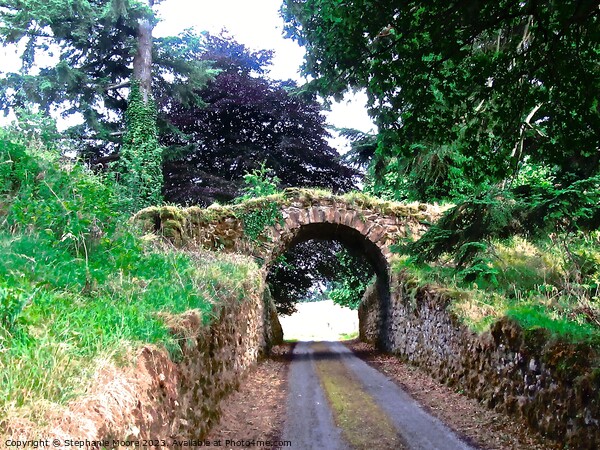 Ancient stone bridge Picture Board by Stephanie Moore