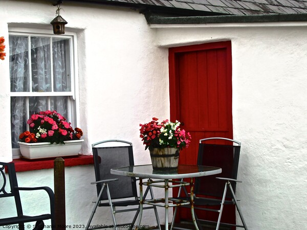 Red Cottage Door Picture Board by Stephanie Moore