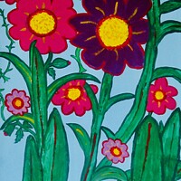 Buy canvas prints of Summer Flowers by Stephanie Moore
