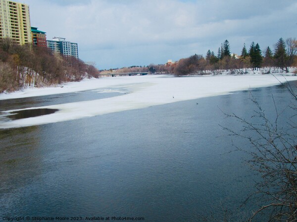 The Rideau River  Picture Board by Stephanie Moore