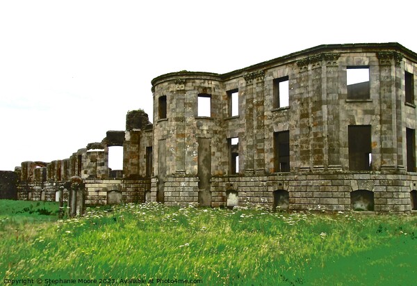Ruins of Downhill Demesne Picture Board by Stephanie Moore