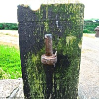 Buy canvas prints of Old gate post by Stephanie Moore
