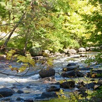Buy canvas prints of Rushing River by Stephanie Moore