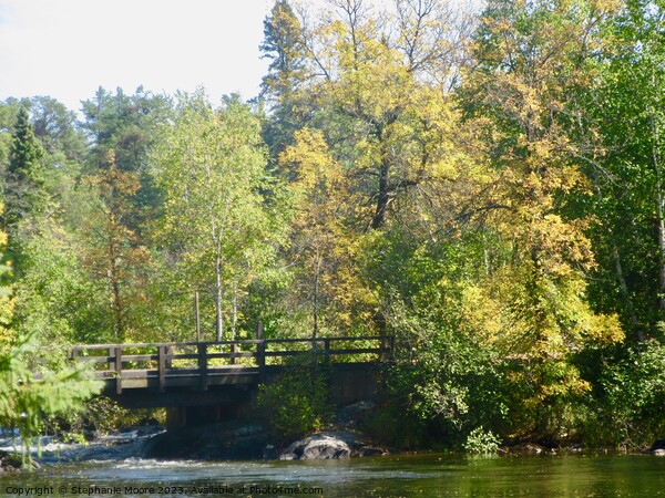 Early fall Picture Board by Stephanie Moore