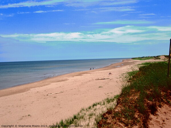 Empty PEI beach Picture Board by Stephanie Moore