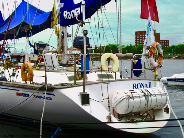 British Tall Ship Rona II Picture Board by Stephanie Moore