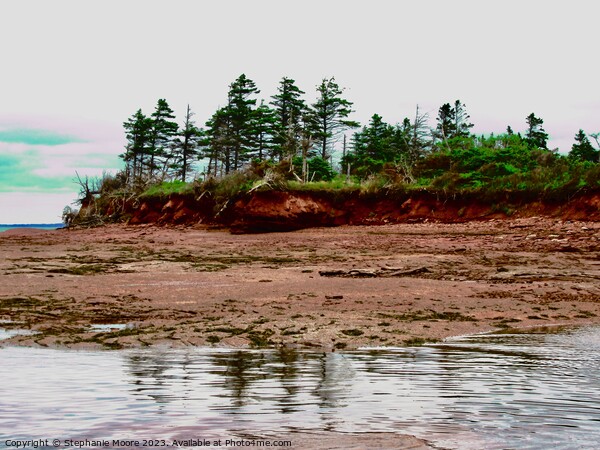 Low Tide in PEI Picture Board by Stephanie Moore