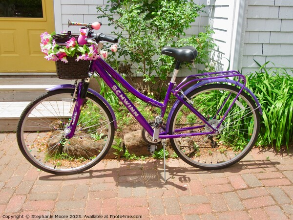 Purple Bicycle Picture Board by Stephanie Moore