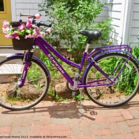 Buy canvas prints of Purple Bicycle by Stephanie Moore