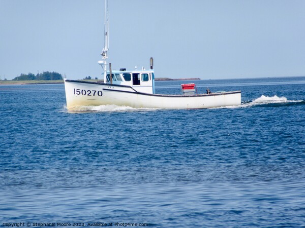 Another fishing boat Picture Board by Stephanie Moore