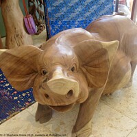 Buy canvas prints of  Pig by Stephanie Moore