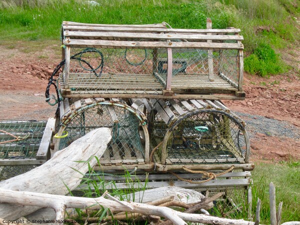 Abandoned Lobster Traps Picture Board by Stephanie Moore