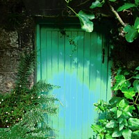Buy canvas prints of Green Door by Stephanie Moore