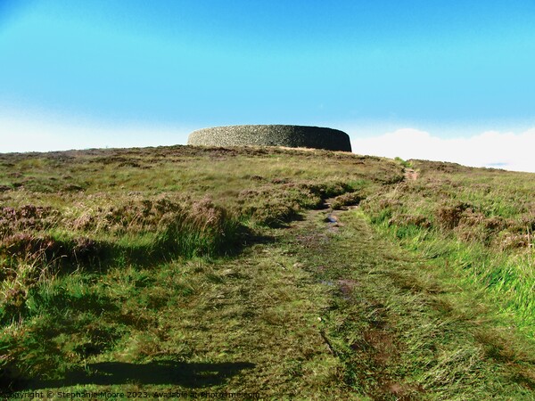 Another view of Grianan of Aileach Picture Board by Stephanie Moore