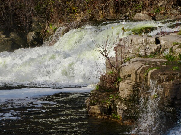 Waterfall in Almonte, ON Picture Board by Stephanie Moore