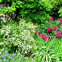Buy canvas prints of Beautiful garden by Stephanie Moore