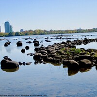 Buy canvas prints of Low water in the Ottawa RIver by Stephanie Moore