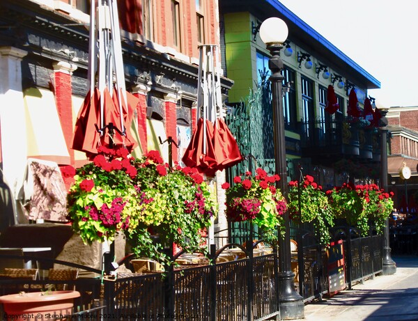 Byward Market Pubs Picture Board by Stephanie Moore