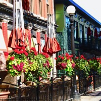 Buy canvas prints of Byward Market Pubs by Stephanie Moore