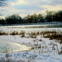 Buy canvas prints of A winter Afternoon by Stephanie Moore