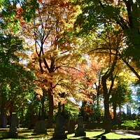 Buy canvas prints of Fall in Beechwood Cemetery by Stephanie Moore