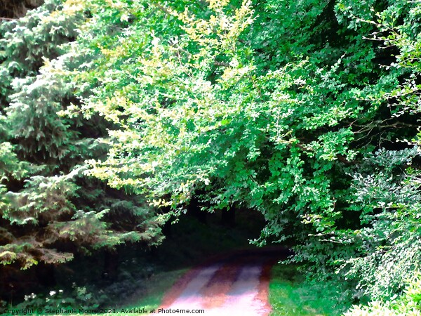 Leafy Tunnel Picture Board by Stephanie Moore