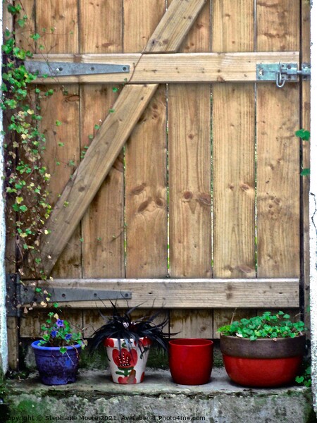 Wooden gate with plants Picture Board by Stephanie Moore