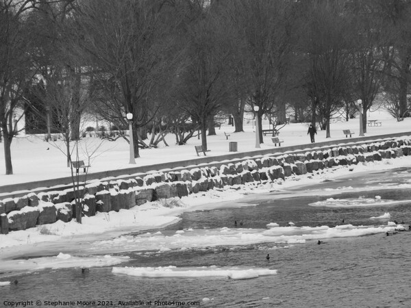 Rideau River Picture Board by Stephanie Moore