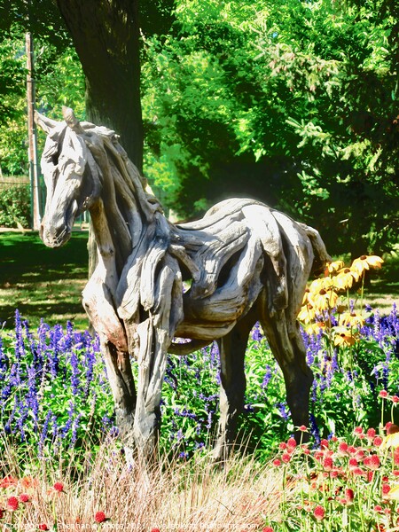 A wooden horse standing in flowers Picture Board by Stephanie Moore