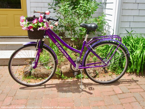 Purple Bicycle Picture Board by Stephanie Moore