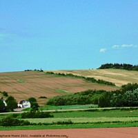 Buy canvas prints of Rolling hills of Prince Edward Island by Stephanie Moore