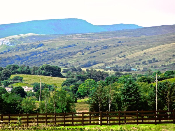 Hills of Donegal Picture Board by Stephanie Moore