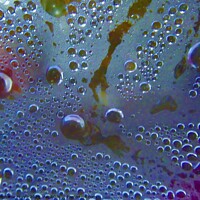 Buy canvas prints of Bubbles by Stephanie Moore