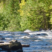 Buy canvas prints of Rushing River rapids by Stephanie Moore