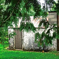 Buy canvas prints of Garden shed by Stephanie Moore