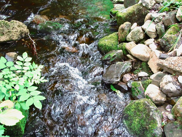 Rocky Stream Picture Board by Stephanie Moore