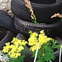 Buy canvas prints of Tires, ropes and flowers by Stephanie Moore