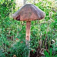 Buy canvas prints of Carved wooden toadstool by Stephanie Moore