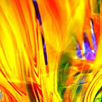Buy canvas prints of Abstract 10311 by Stephanie Moore