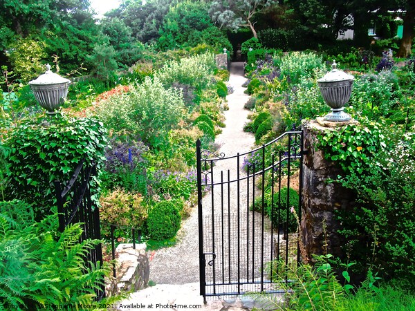  Garden Gate Picture Board by Stephanie Moore
