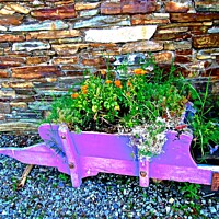 Buy canvas prints of Flowers in a wheelbarrow by Stephanie Moore