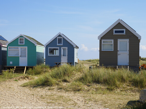 beach huts Picture Board by Nik Taylor