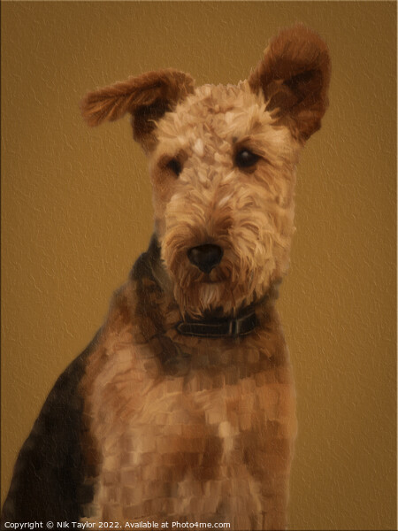 Airedale Terrier Picture Board by Nik Taylor